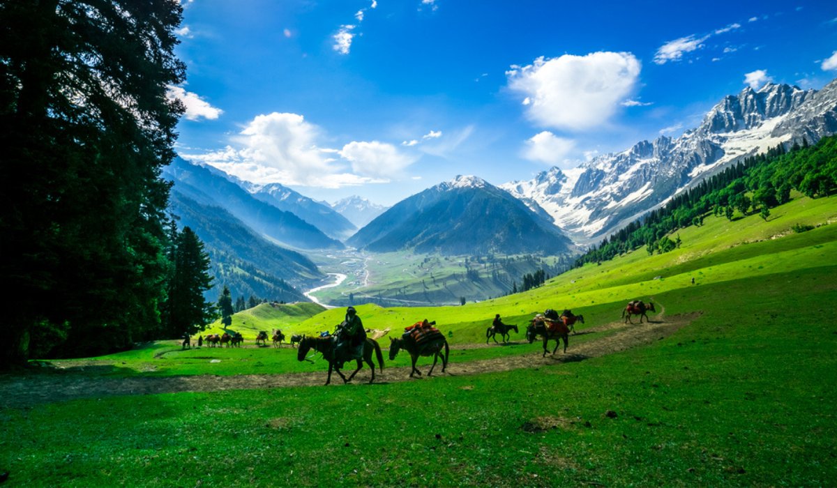 Kashmir